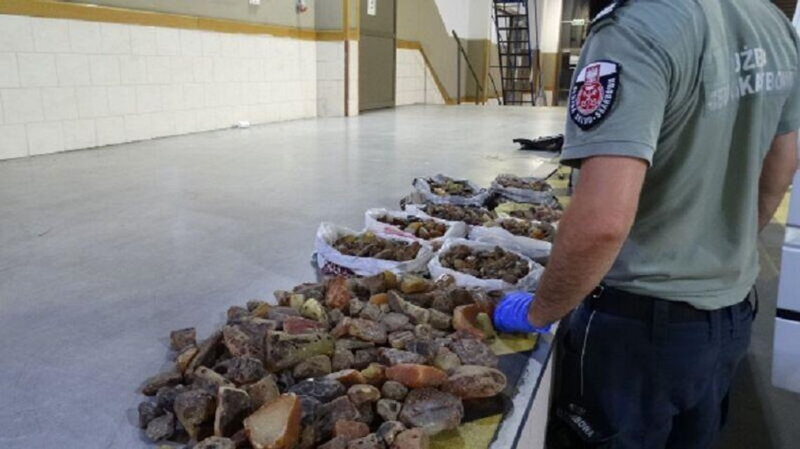 Ponad 20 kilogramów bursztynu na granicy Ponad 20 kilogramów bursztynu na granicy