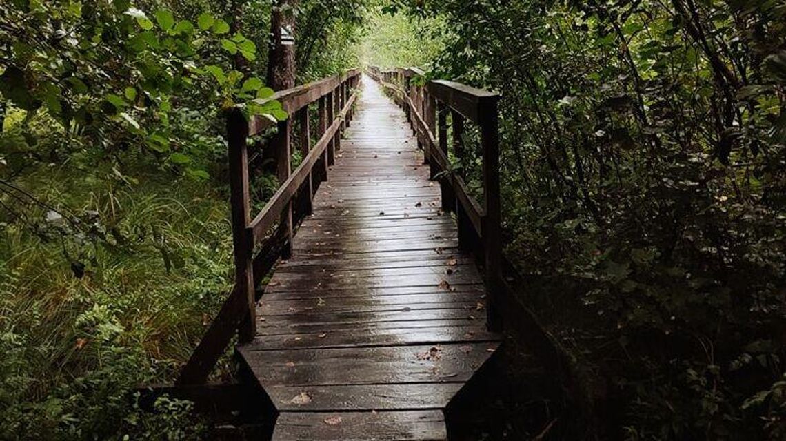 Popularna trasa zostanie zamknięta. Później ma być lepiej Popularna trasa zostanie zamknięta. Później ma być lepiej