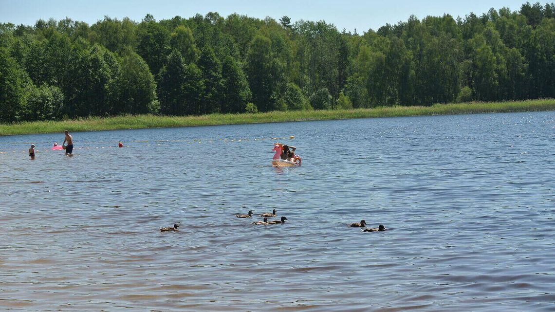 Popularne kąpielisko na Roztoczu zamknięte. W wodzie są groźne bakterie