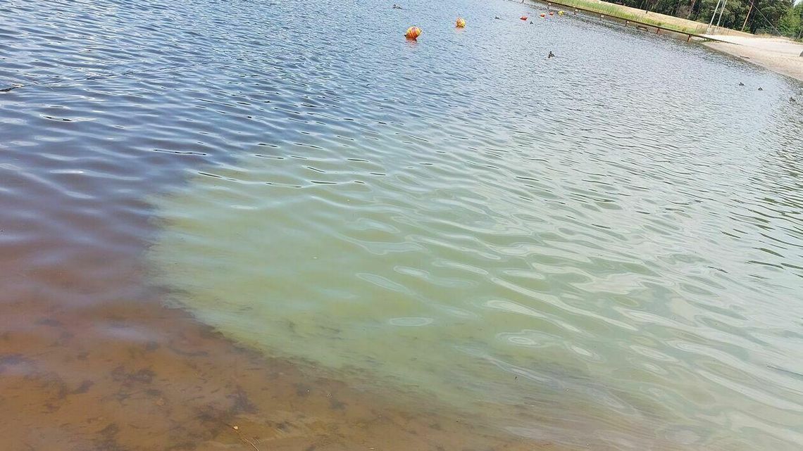 Popularny zalew w Lubelskiem. Sanepid zakazuje kąpieli Popularny zalew w Lubelskiem. Sanepid zakazuje kąpieli