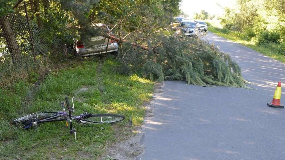 Porosiuki: Rowerzysta wyjechał pod koła auta, opel ściął drzewo [zdjęcia]