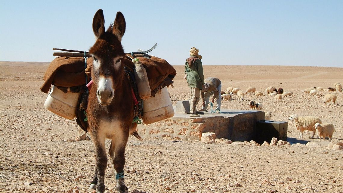 Port Lotniczy Lublin. Nowy, egzotyczny kierunek w siatce lotów Port Lotniczy Lublin. Nowy, egzotyczny kierunek w siatce lotów