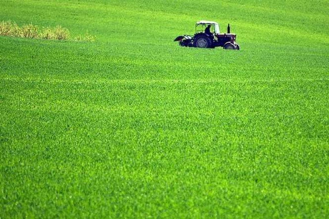 Portret woj. lubelskiego. Zniknęło 22,5 tys. osób, jesteśmy coraz starsi Portret woj. lubelskiego. Zniknęło 22,5 tys. osób, jesteśmy coraz starsi