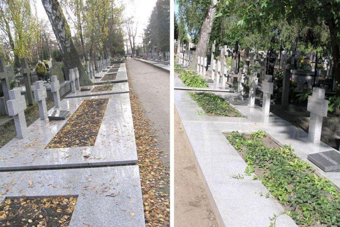 Porządkowali groby żołnierzy. Sprzątnęli też rośliny