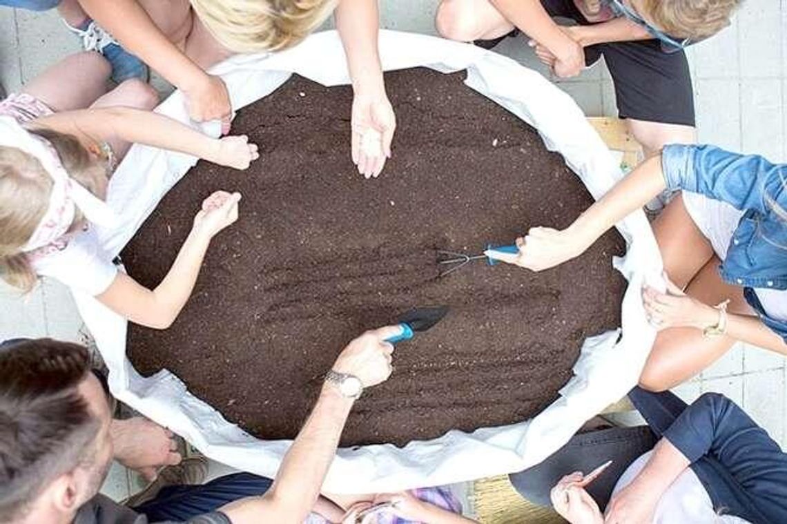 Posadź fasolkę przed CSK