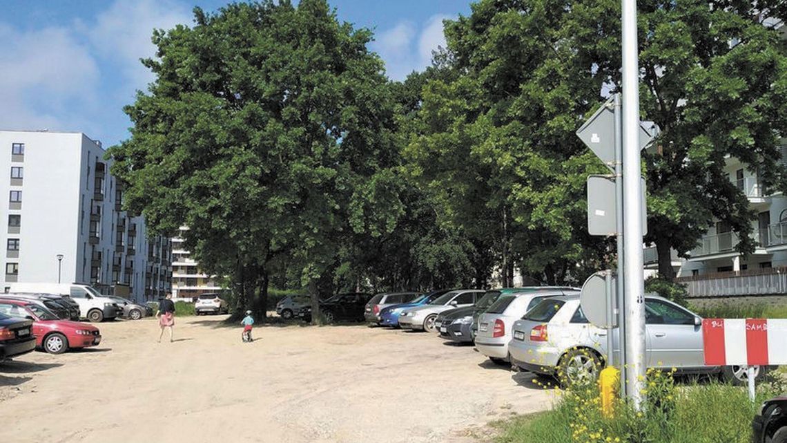 Posadzą drzewa przy nowej ulicy Lublina? Urzędnicy: Ewentualnie