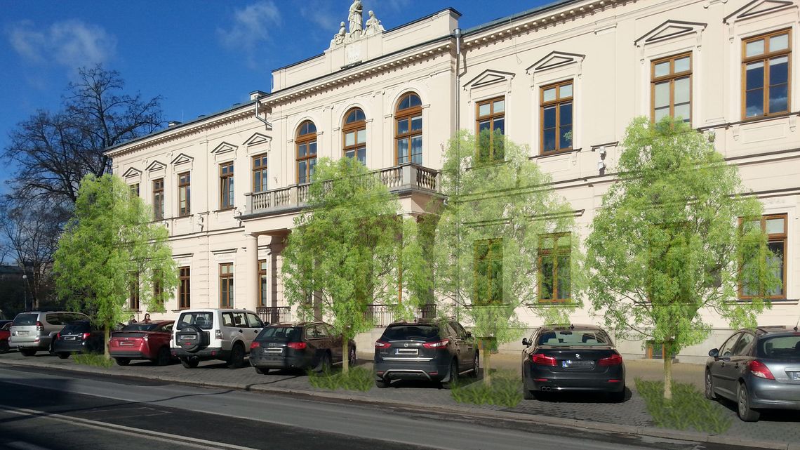 Posadzą duże drzewa przy Krakowskim Przedmieściu w Lublinie. Lista zwycięskich projektów z Zielonego Budżetu Posadzą duże drzewa przy Krakowskim Przedmieściu w Lublinie. Lista zwycięskich projektów z Zielonego Budżetu