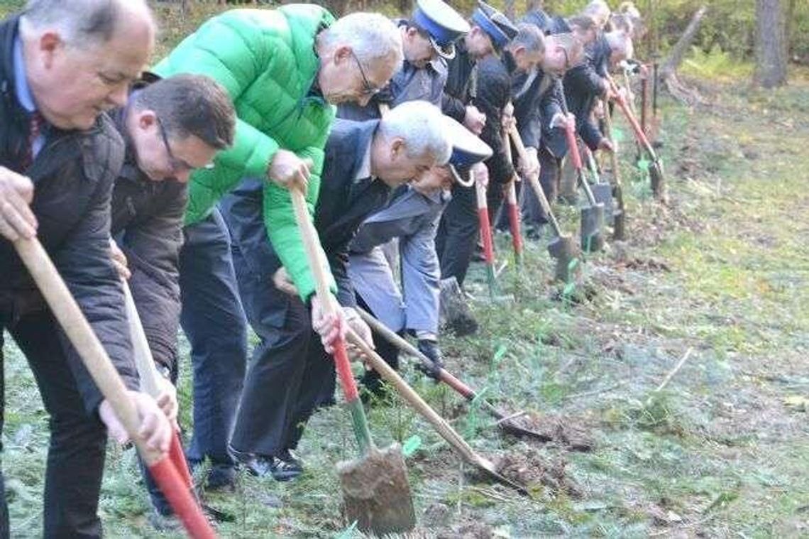 Posadzili Alejkę Przyjaciół Nadleśnictwa Kraśnik. Nasiona poświęcił papież Posadzili Alejkę Przyjaciół Nadleśnictwa Kraśnik. Nasiona poświęcił papież