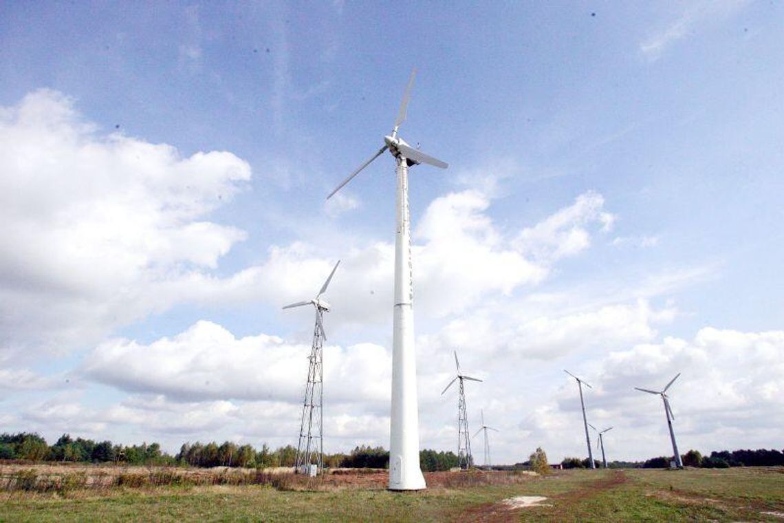 Posłanka Sadurska walczy z wiatrakami 