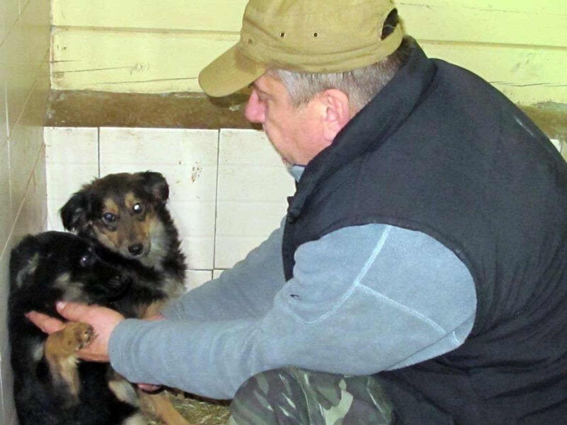 Poszedł do lasu, znalazł psy, uratował im życie