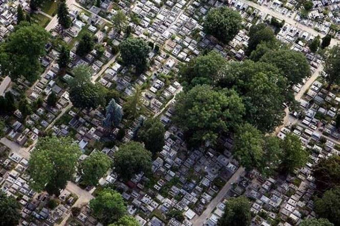 Poszła na cmentarz, wróciła zapłakana. Jest w ciąży, została zgwałcona?