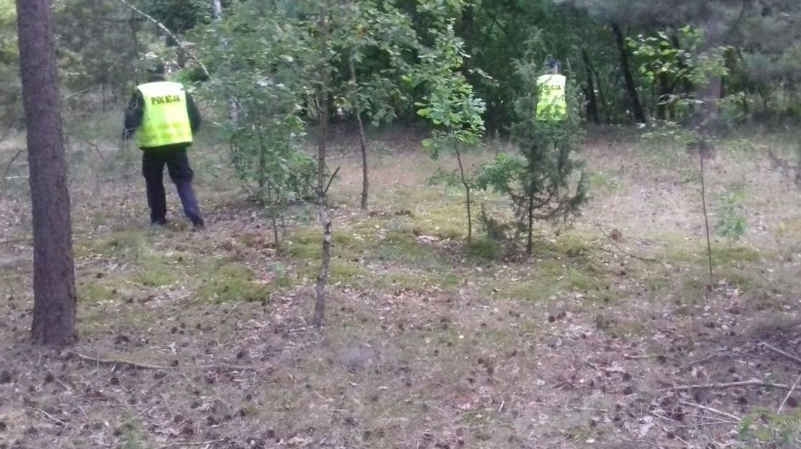 Poszła na grzyby i się zgubiła. Krótki telefon i kontakt się urwał