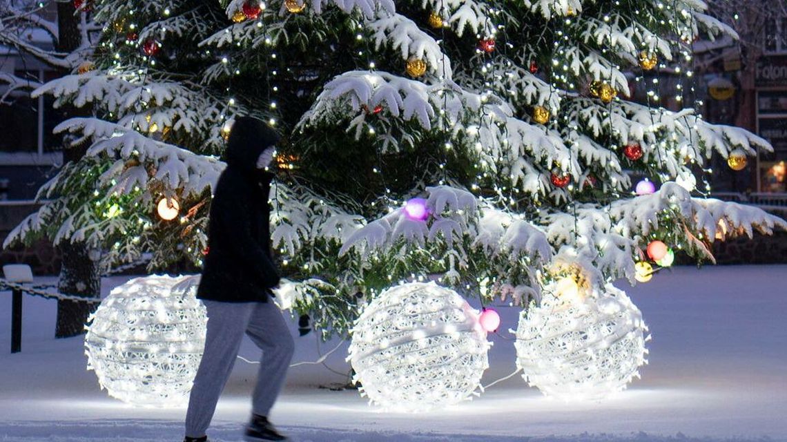 Poszukiwana miejska choinka. Urzędnicy liczą na mieszkańców 