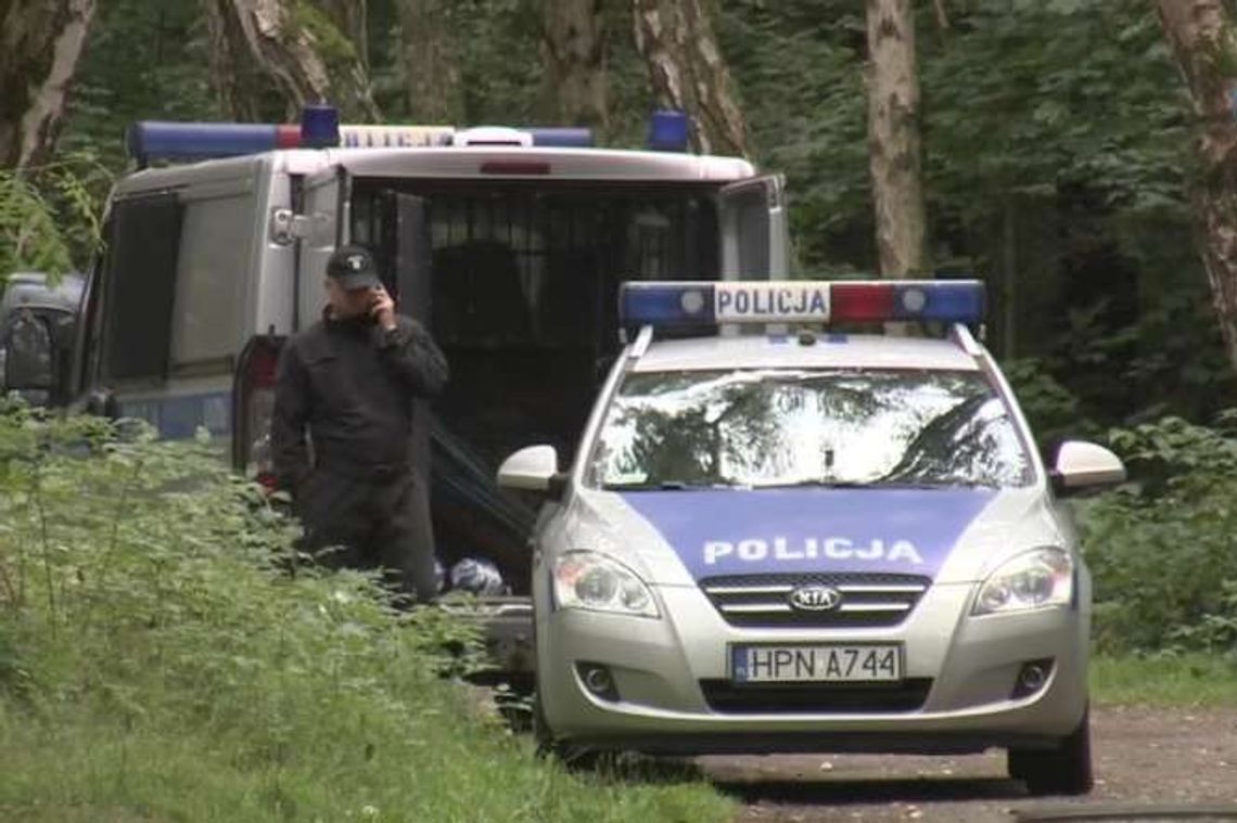 Poszukiwania Iwony Wieczorek. Policja georadarem przeszukuje park