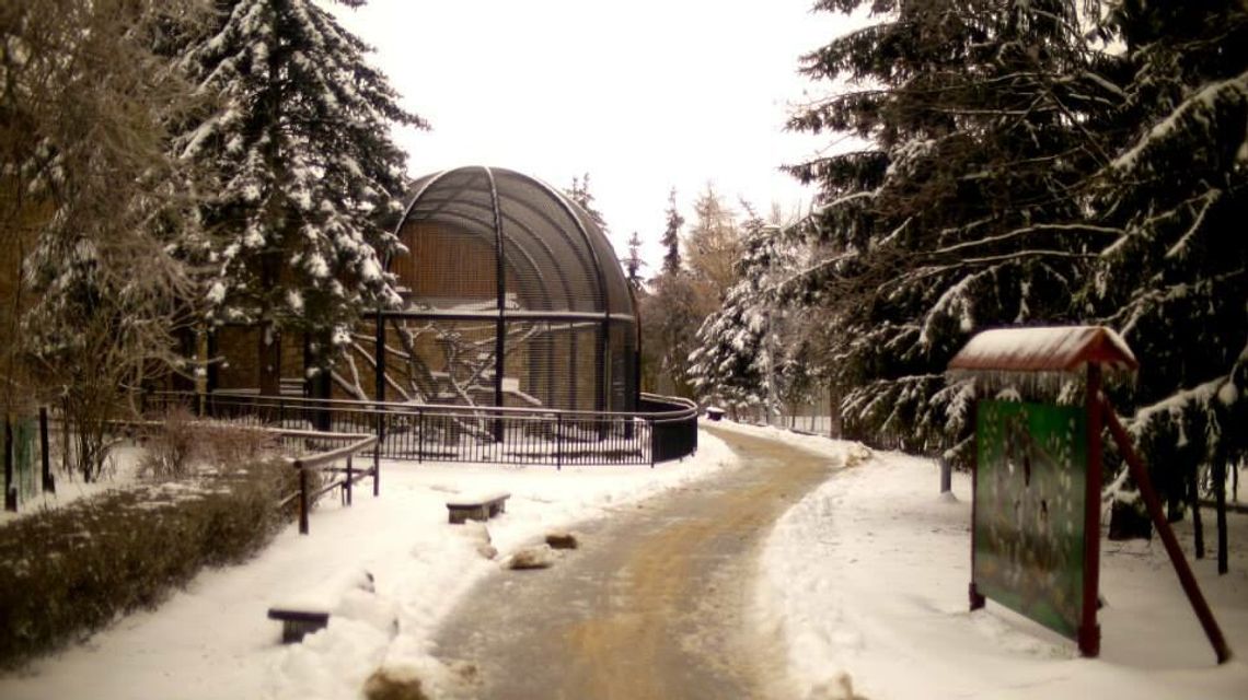 Potaniały bilety do ZOO w Zamościu. Ceny spadły z dnia na dzień