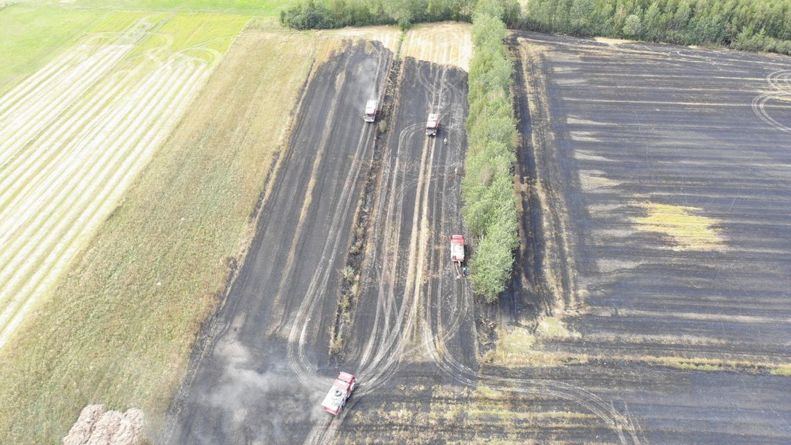 Potężny pożar w Lubelskiem. 15 hektarów w ogniu. Zdjęcia