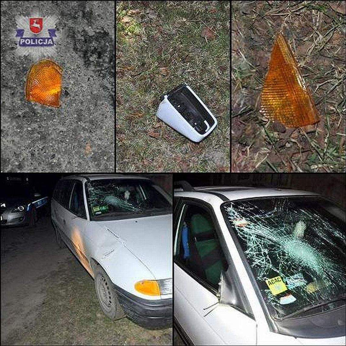 Potrącenie pieszego w Rzeczycy Ziemiańskiej: Policja zatrzymała sprawcę