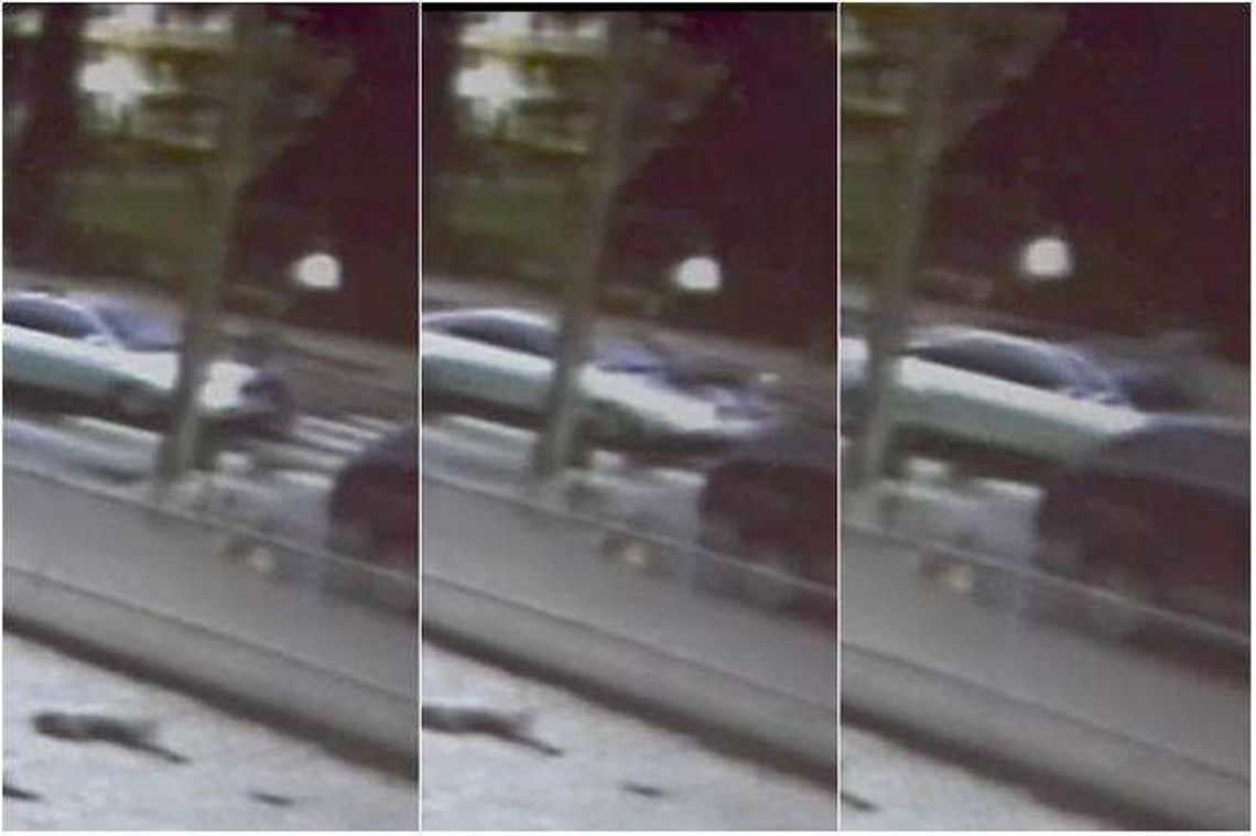 Potrąciła 17-latka na przejściu dla pieszych. Wylądował na masce [wideo]