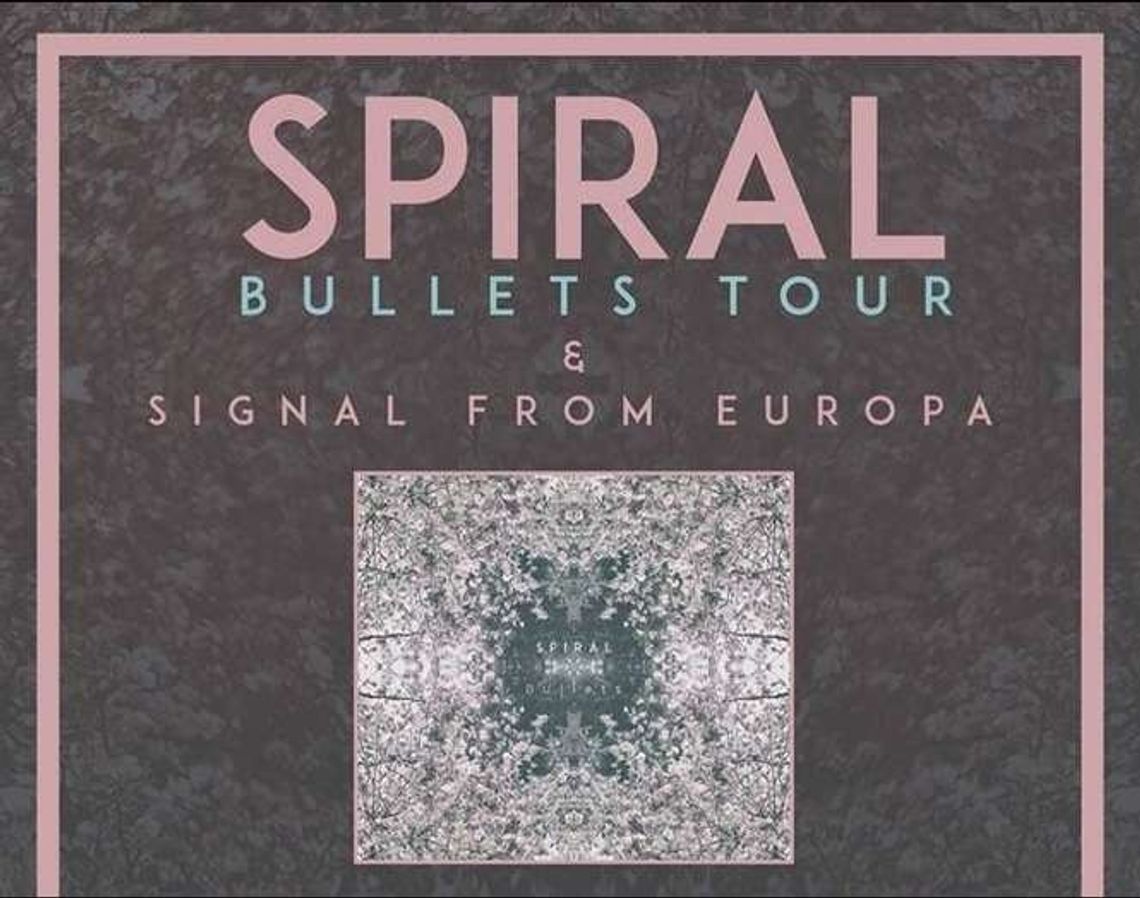 Potrójny koncert w Pubie u Szewca: Spiral, Signal From Europa i Leave
