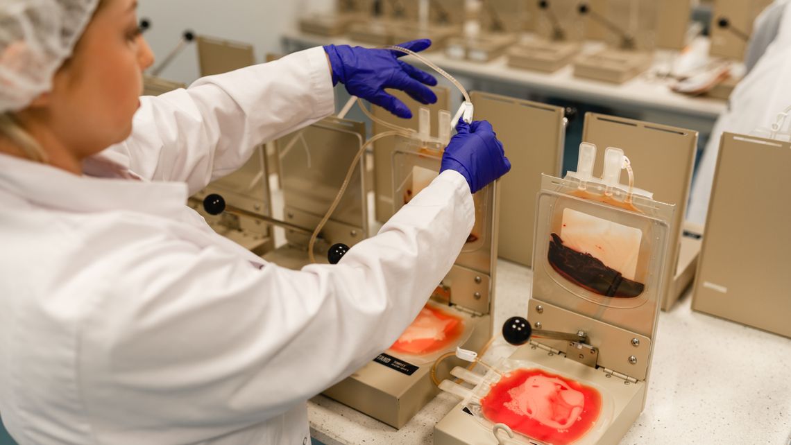 Potrzebni dawcy komórek macierzystych. Zgłoś się i pomóż chorym