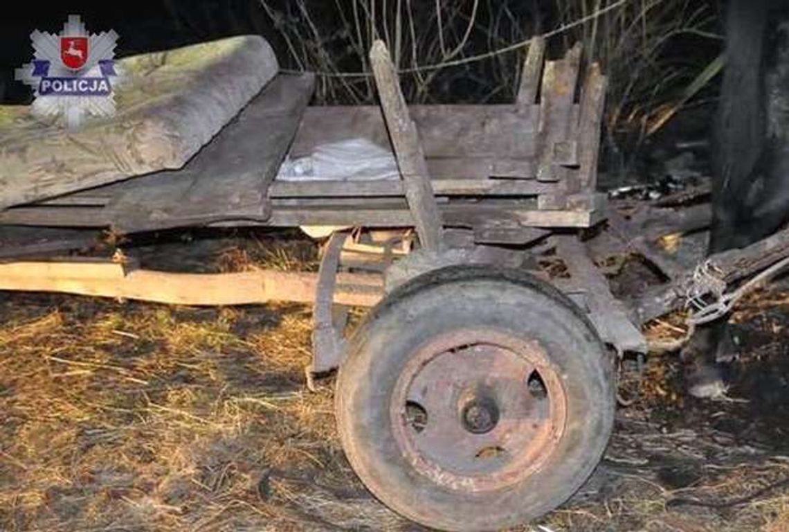 Poturbował go koń i przejechał wóz. Woźnica był pijany, stracił zęby Poturbował go koń i przejechał wóz. Woźnica był pijany, stracił zęby