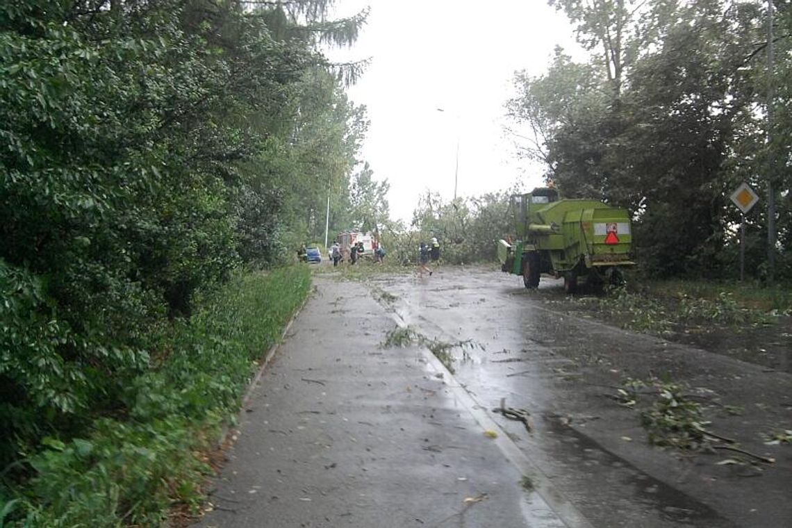 Powalone drzewa po burzy. Możliwe opady gradu