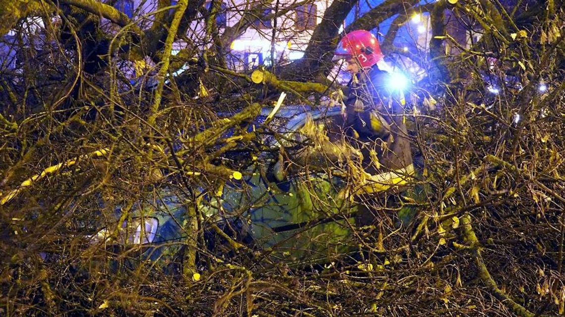 Poważne ostrzeżenie IMGW. Silne wichury i załamanie pogody