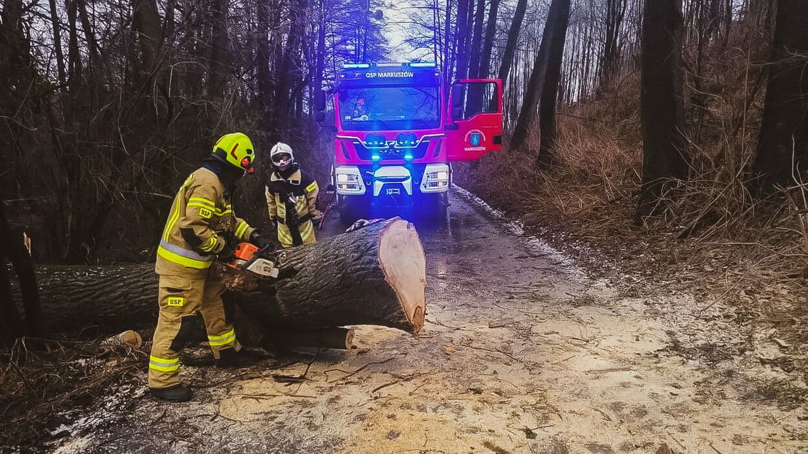 Powiało i powaliło. Wiele gospodarstw wciąż nie ma prądu Powiało i powaliło. Wiele gospodarstw wciąż nie ma prądu