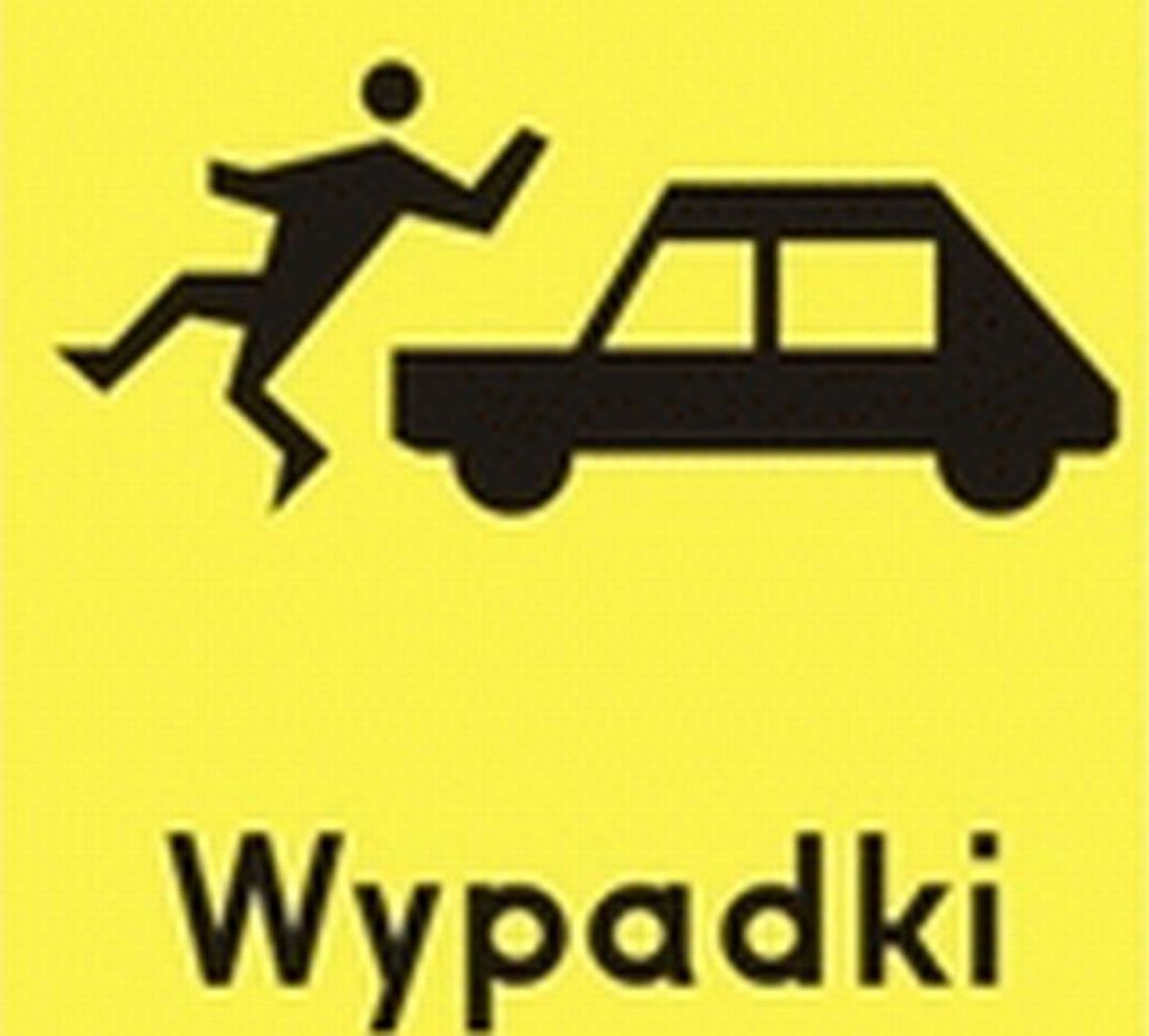 Powiat hrubieszowski: Wypadki z udziałem pieszych