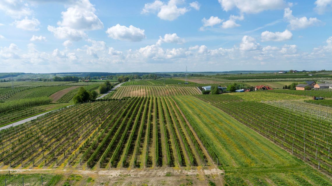 Powiat Kraśnicki – samorząd nastawiony na rozwój