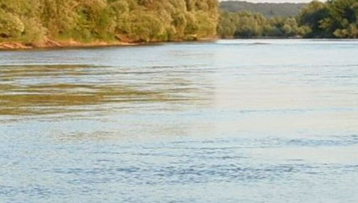 Powiat lubartowski. 65-latek utonął w stawie Powiat lubartowski. 65-latek utonął w stawie