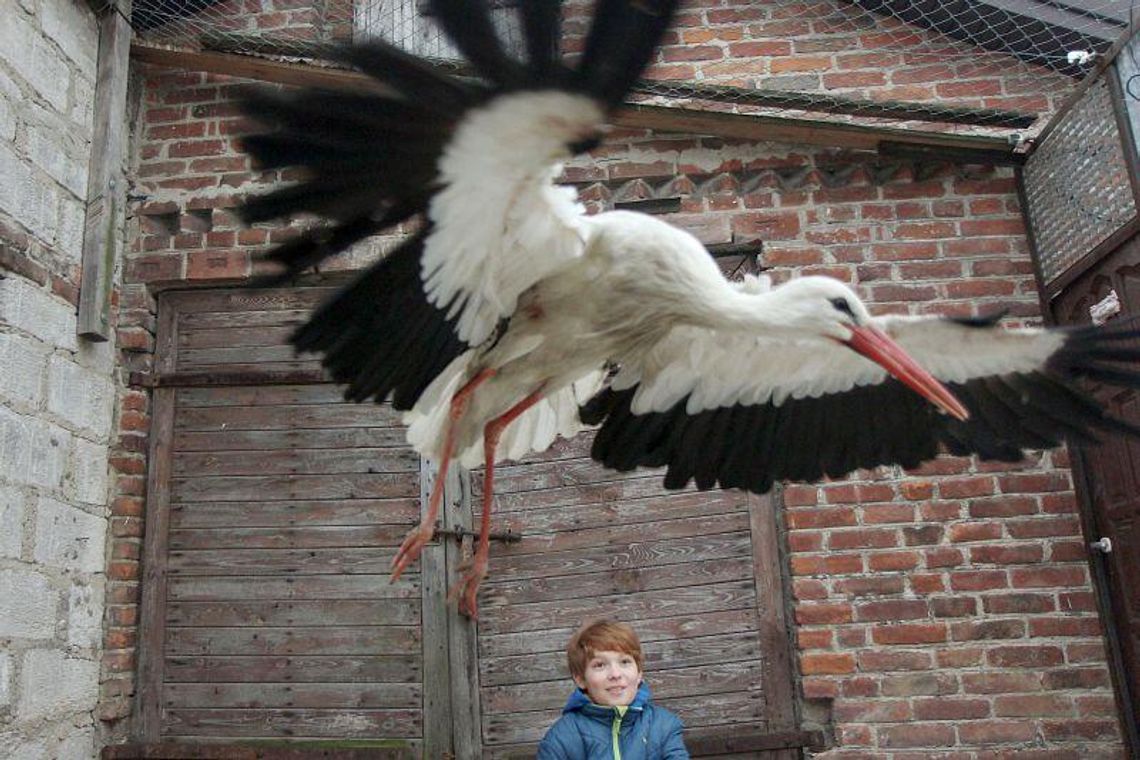 Powiedz Stefan, gdzieś ty był?