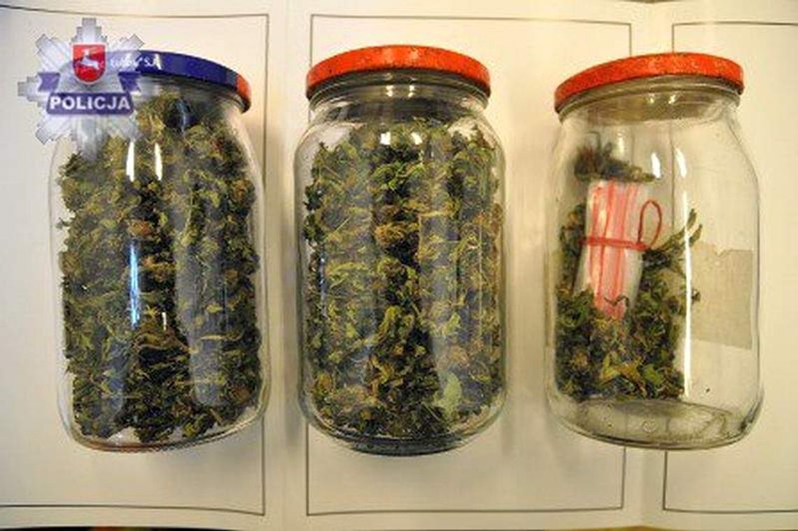 Powiedział policjantom, że ma marihuanę. Wydał także syna