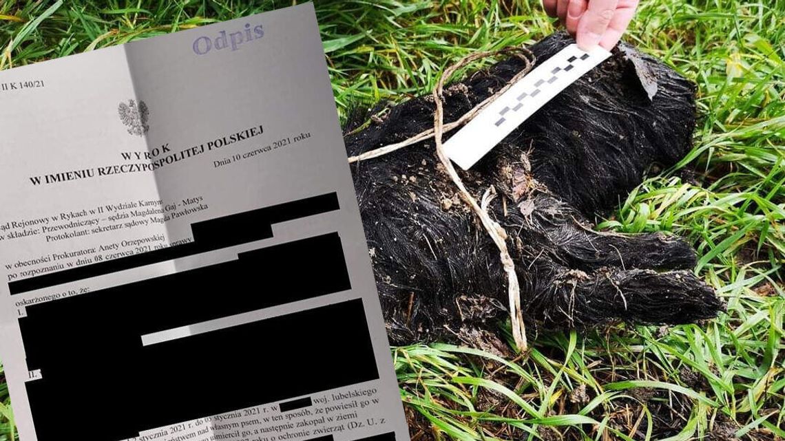 Powiesił własnego psa. Znęcał się też nad synem