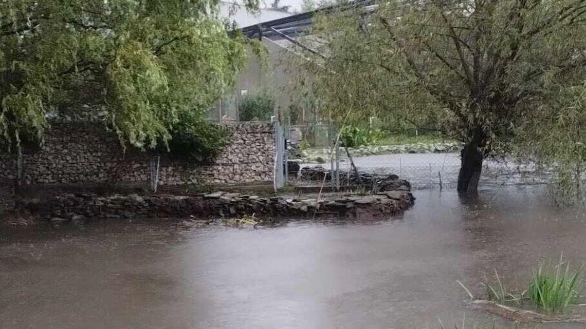 Powódź w zamojskim ZOO. Będzie otwarte? Jest decyzja