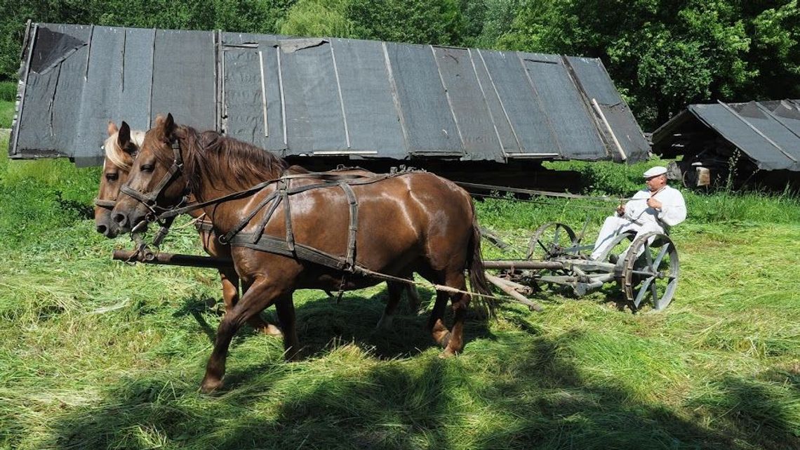 Powstanie Muzeum Rolnictwa w gminie Radzyń Podlaski. Wójt liczy na pomoc mieszkańców