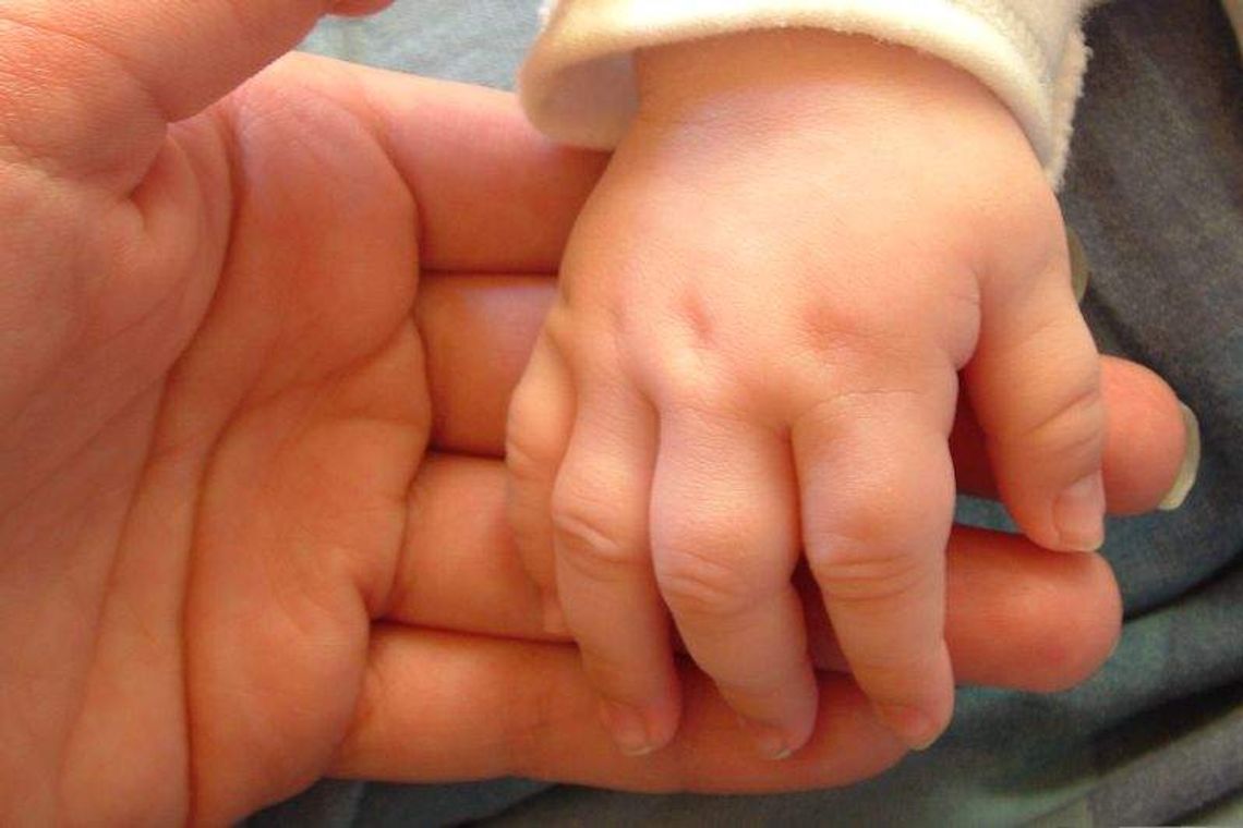 Powstanie regionalna karta dużej rodziny?