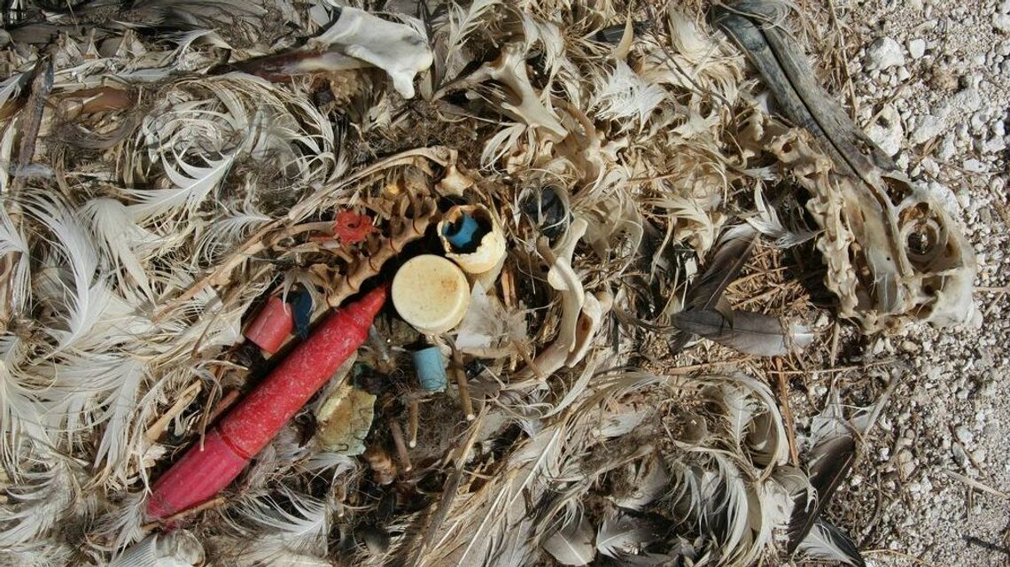 Powstanie statek zbierający śmieci