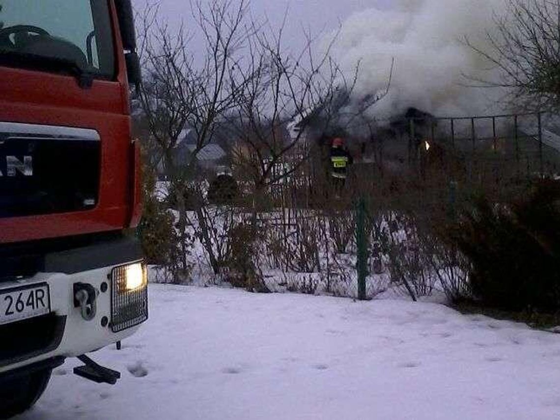 Pożar altanek na terenie ROD „Maki” w Lublinie. To było podpalenie? Pożar altanek na terenie ROD „Maki” w Lublinie. To było podpalenie?