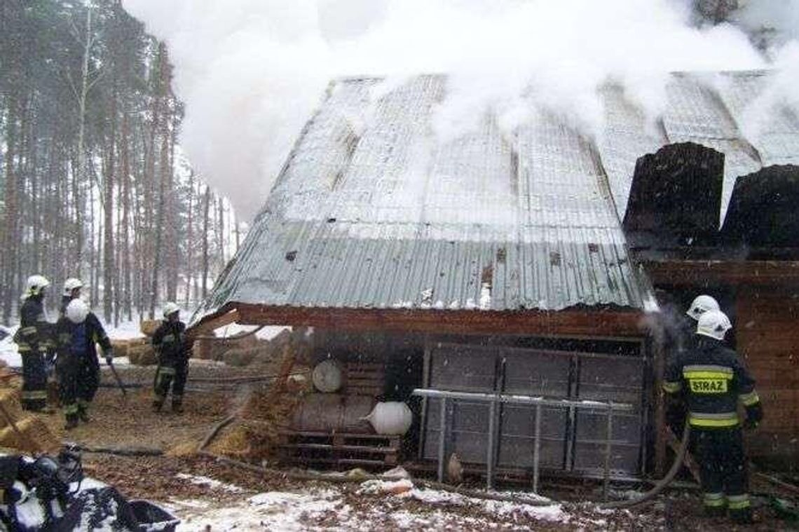 Pożar budynku gospodarczego. Padło 200 kur i 30 królików
