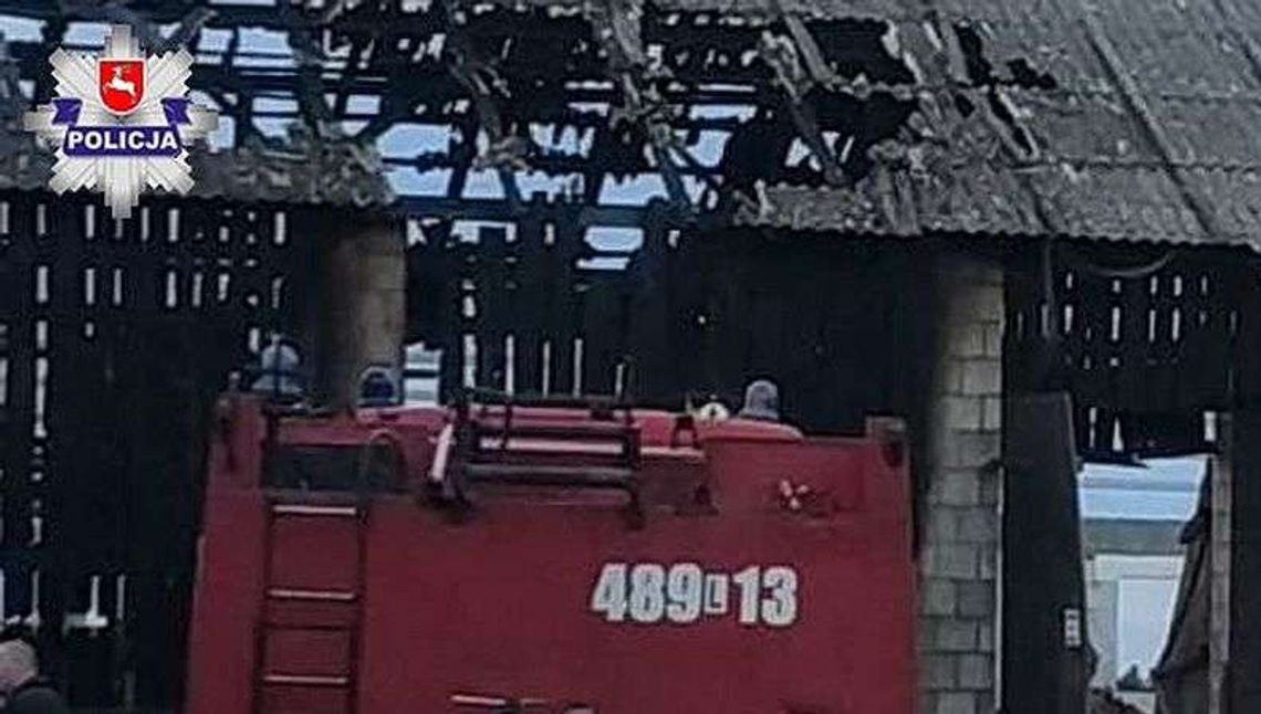 Pożar chlewni. Padły zwierzęta. Większość świń udusiła się dymem