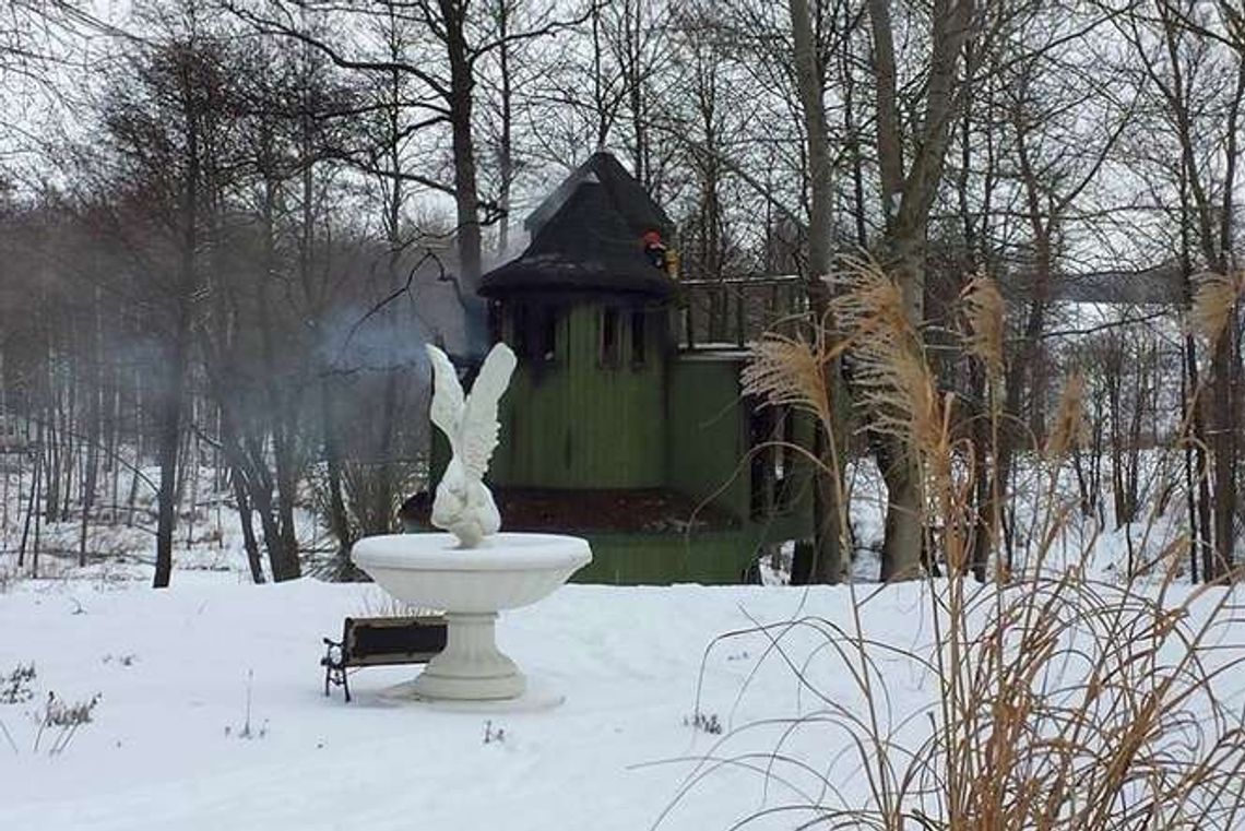 Pożar "domu na drzewie" w Majdanie Skrzynieckim (zdjęcia)