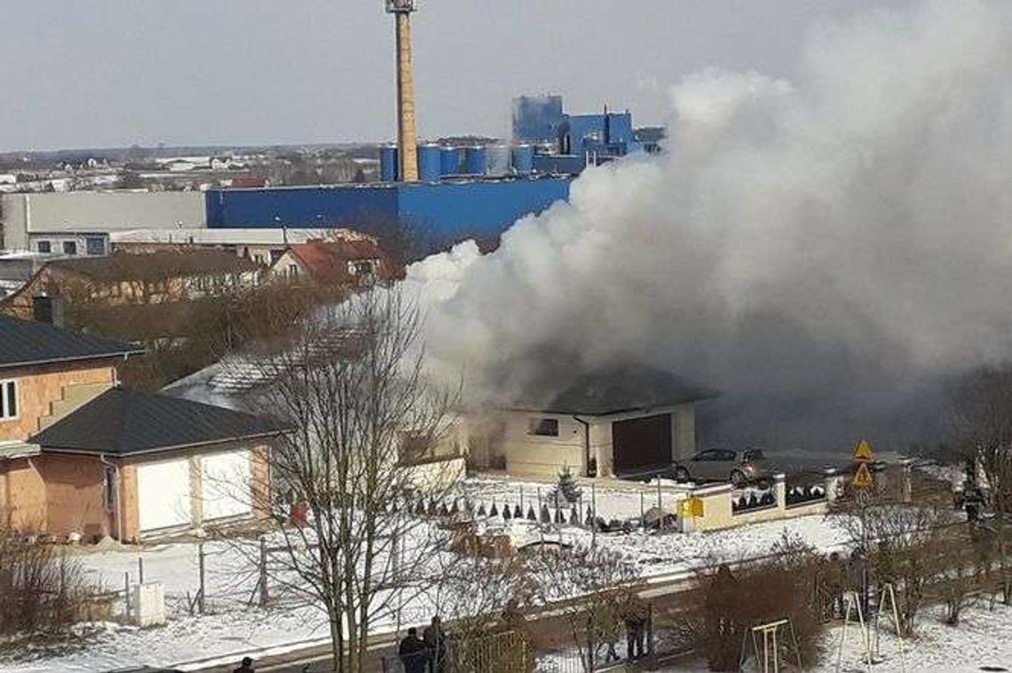 Pożar domu w Rykach. Strażacy uratowali psa