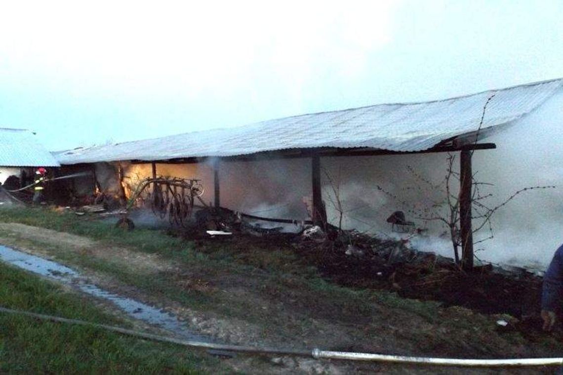 Pożar fermy drobiu. Spaliło się 10 tys. piskląt indyków (zdjęcia)