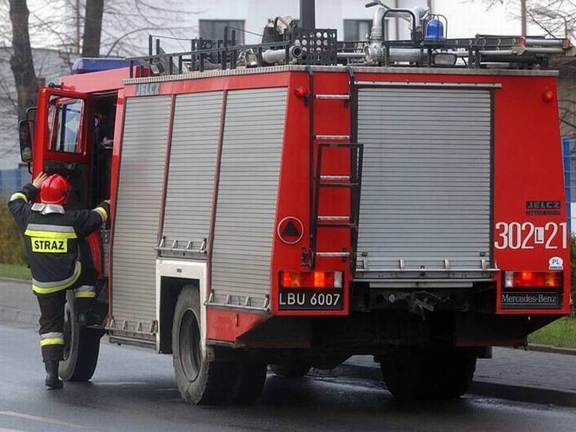 Pożar lasu w miejscowości Drozdówka