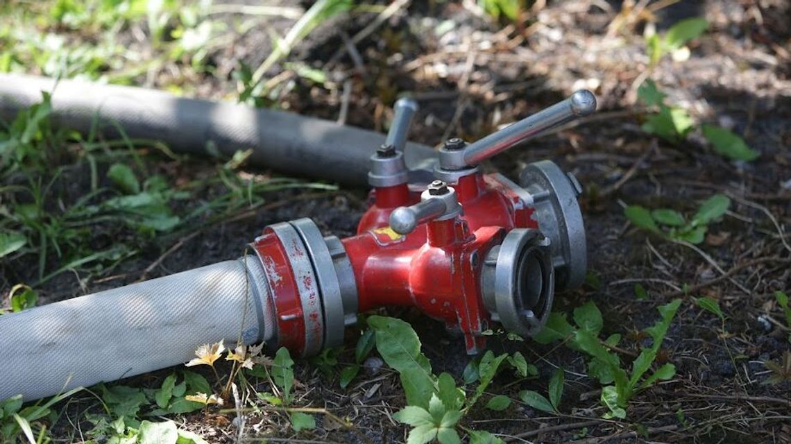 Pożar lasu w powiecie puławskim. Trwa akcja gaśnicza