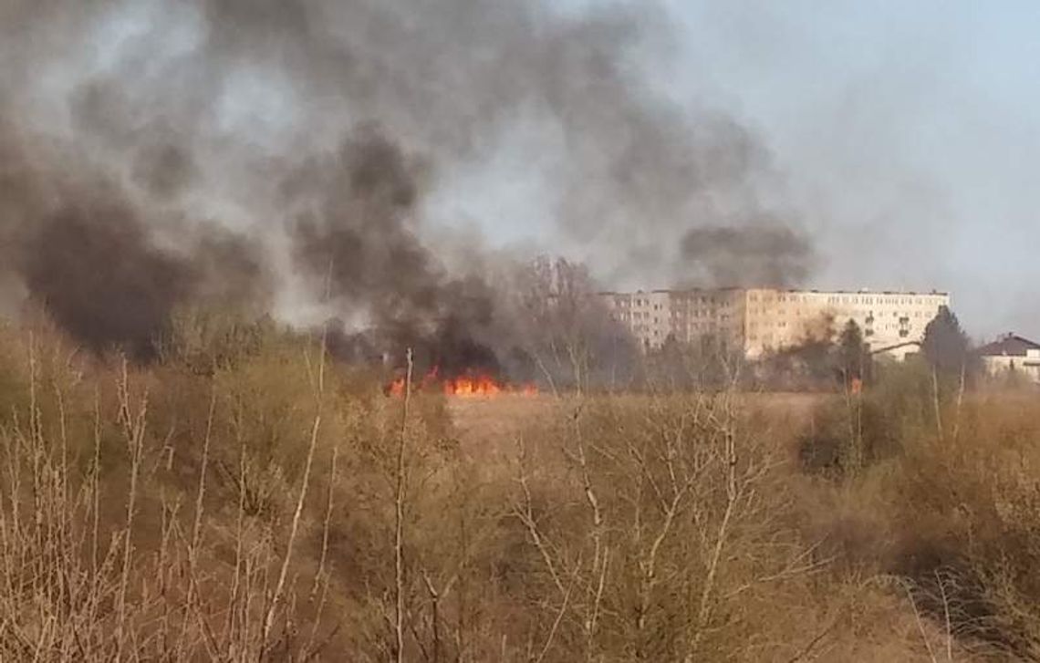 Pożar na górkach czechowskich. Ogień zbliżył się do zabudowań (wideo)