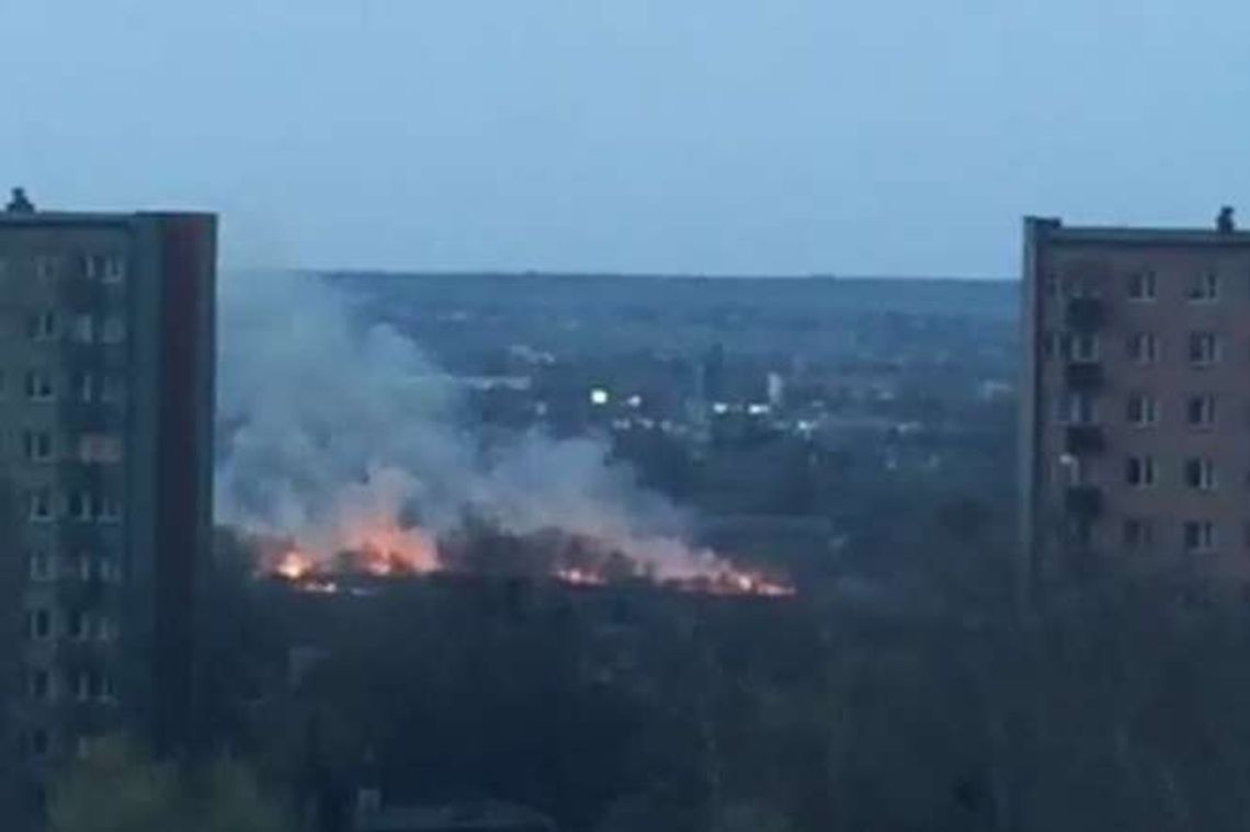 Pożar pól na ul. Daszyńskiego w Lublinie i w okolicach Turki [wideo]