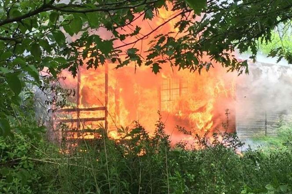 Pożar przy ul. Zelwerowicza w Lublinie. Spłonęła altana Pożar przy ul. Zelwerowicza w Lublinie. Spłonęła altana