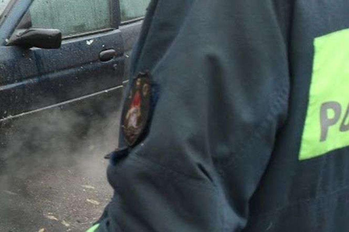 Pożar samochodu na drodze ekspresowej S17